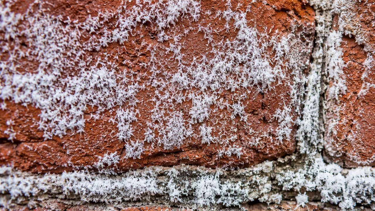 Efflorescenze di salnitro su muro in mattone